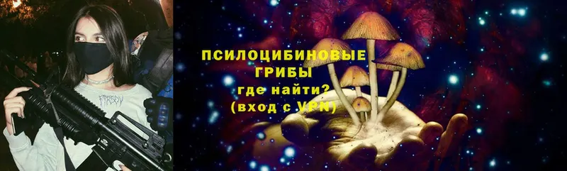 Галлюциногенные грибы Cubensis  это состав  Норильск 